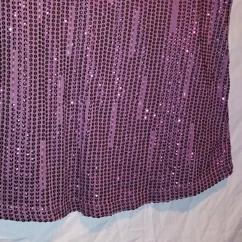 Plum Colored LOFT Top with Sequins ~ Size Large - Picture 5 of 11